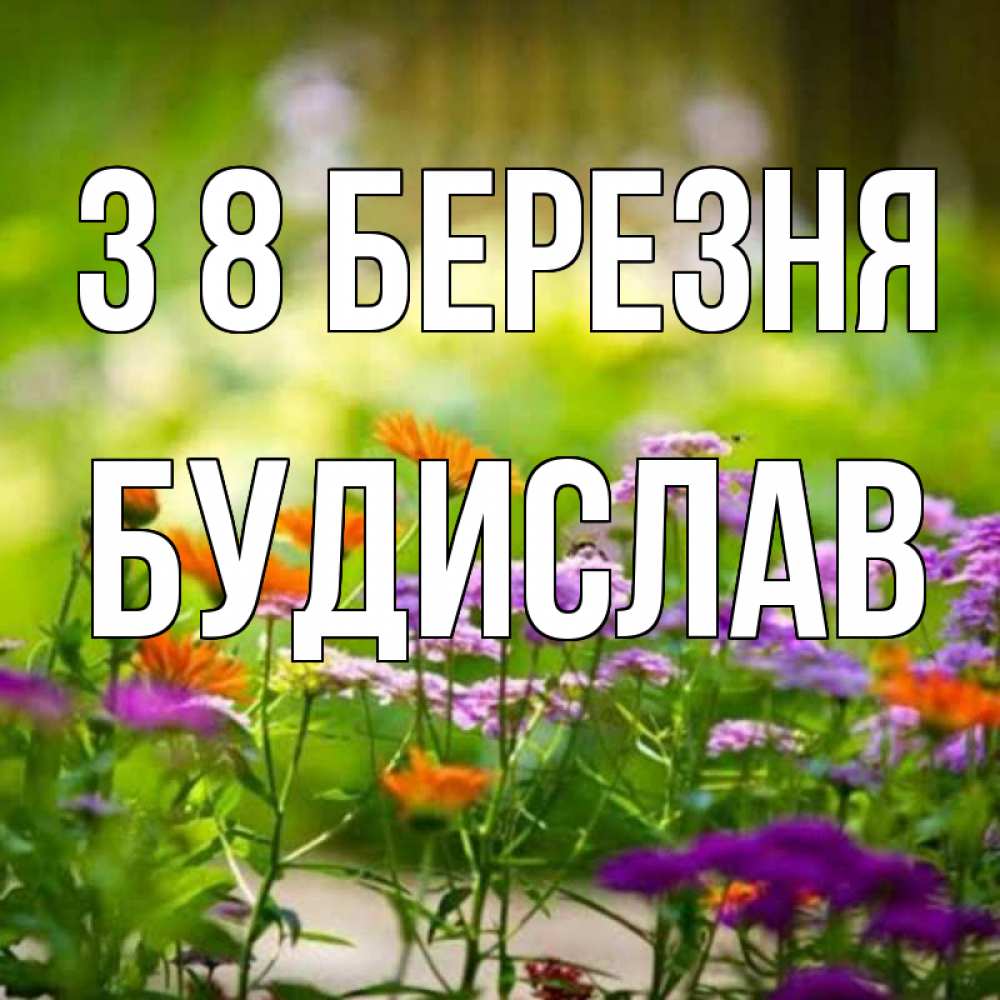 Открытка на каждый день з підписом, Будислав З 8 БЕРЕЗНЯ цветы Прикольна листівка з побажанням онлайн скачати безкоштовно 