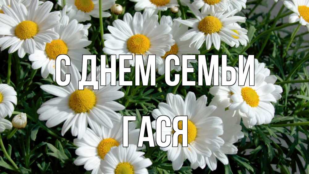 Открытка на каждый день з підписом, Гася С днем семьи с днем семьи Прикольна листівка з побажанням онлайн скачати безкоштовно 