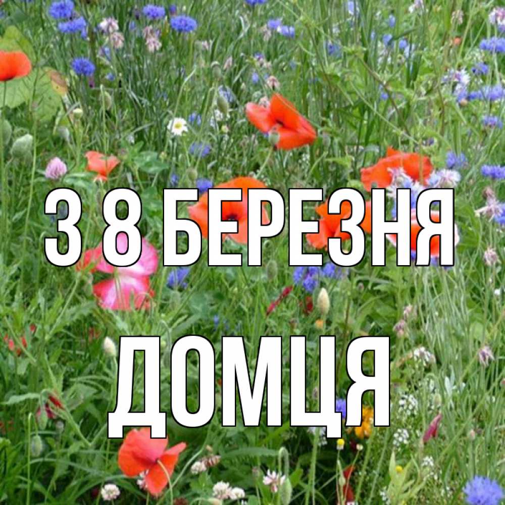 Открытка на каждый день з підписом, Домця З 8 БЕРЕЗНЯ международный женский день 4 Прикольна листівка з побажанням онлайн скачати безкоштовно 