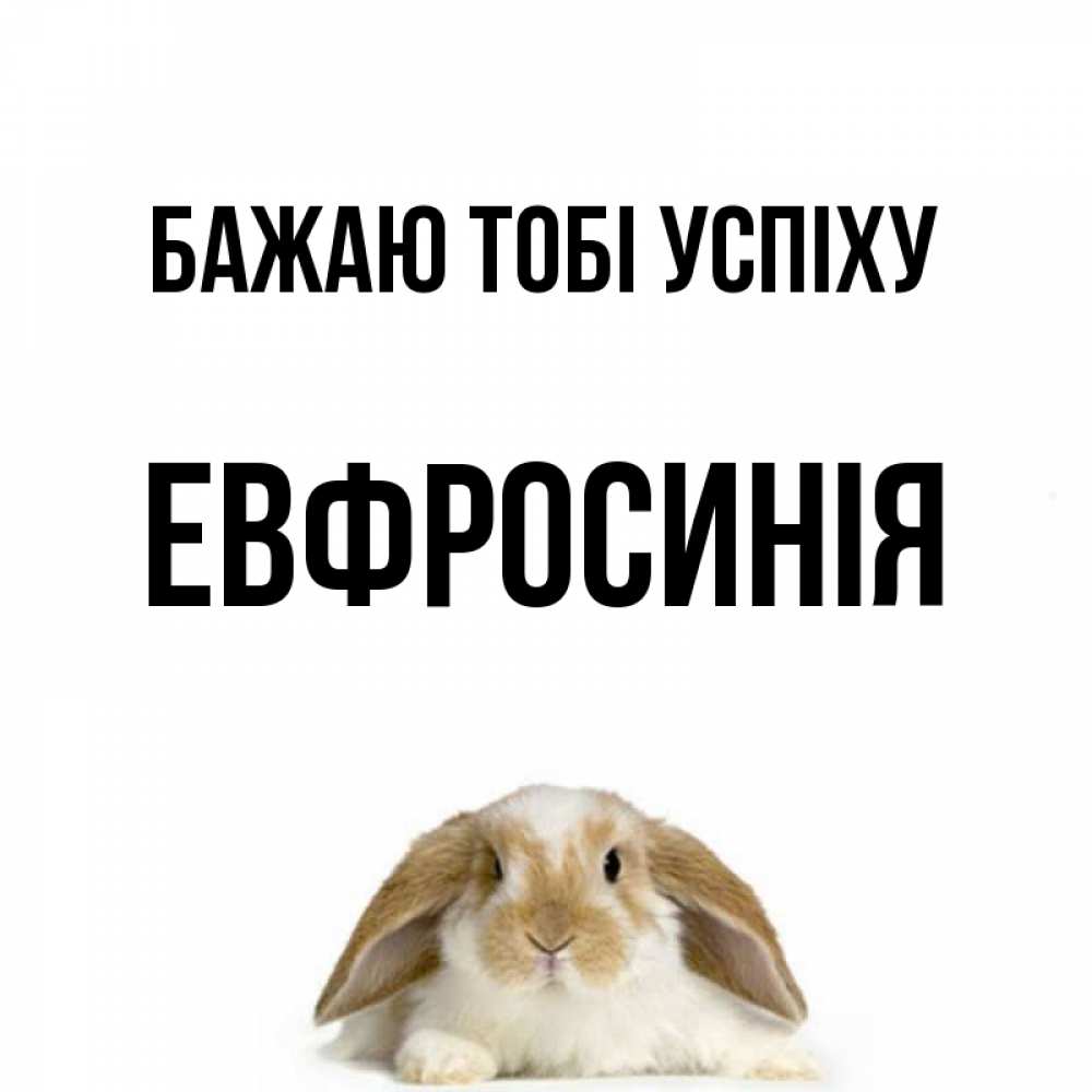 Открытка на каждый день з підписом, Евфросинія Бажаю тобі успіху открытки с произвольным текстом который можно вставить в открытку и создать ее самостоятельно бесплатно онлайн Прикольна листівка з побажанням онлайн скачати безкоштовно 