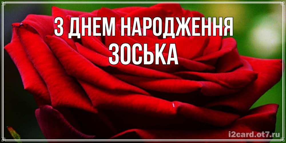 Открытка на каждый день з підписом, Зоська З Днем народження розочка очень красивая Прикольна листівка з побажанням онлайн скачати безкоштовно 