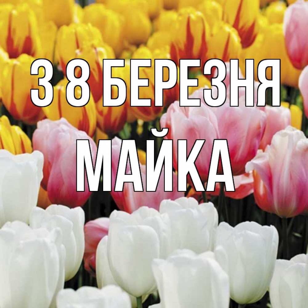 Открытка на каждый день з підписом, Майка З 8 БЕРЕЗНЯ разноцветные цветы Прикольна листівка з побажанням онлайн скачати безкоштовно 