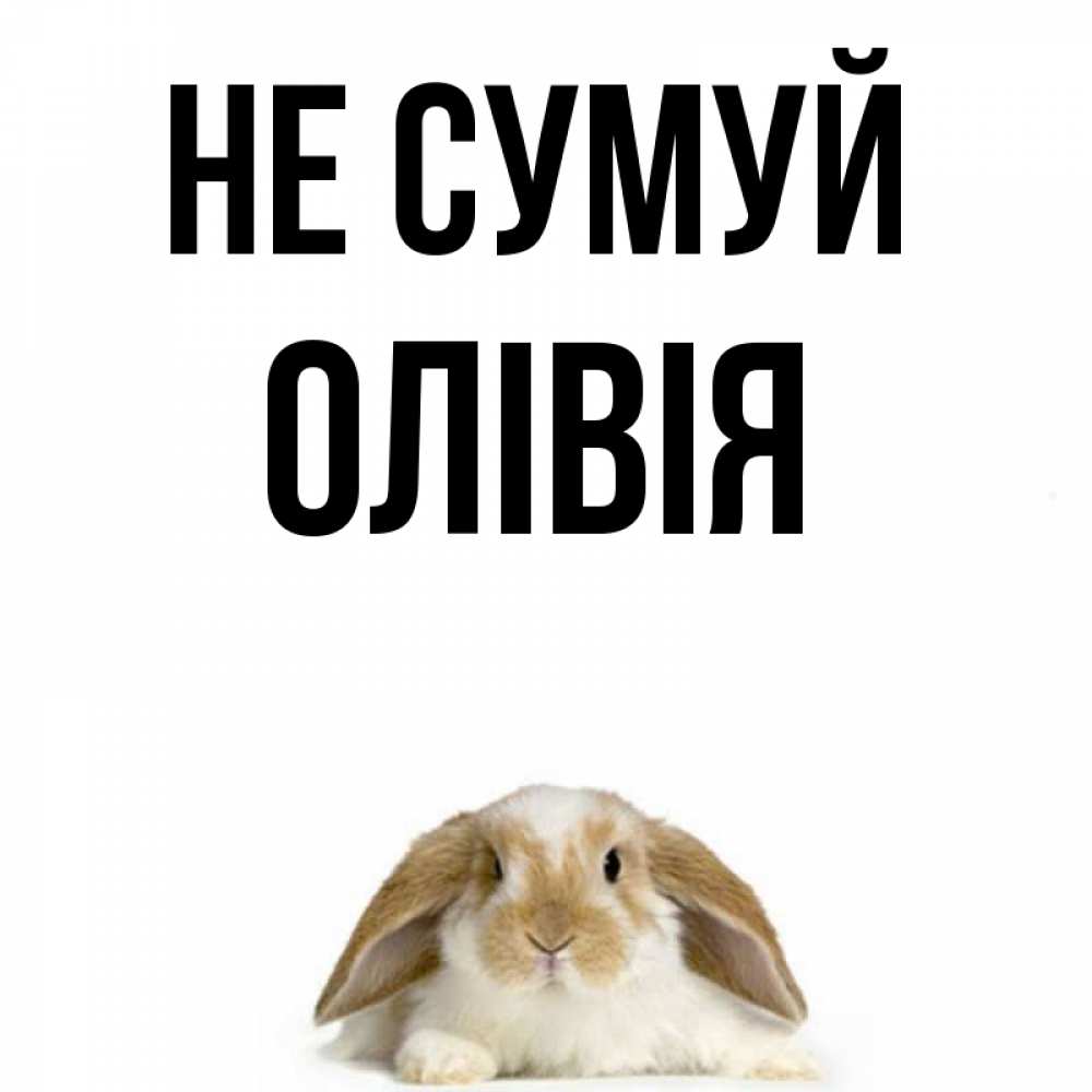 Открытка на каждый день з підписом, Олівія Не сумуй коричнево белый заяц с большими ушками Прикольна листівка з побажанням онлайн скачати безкоштовно 