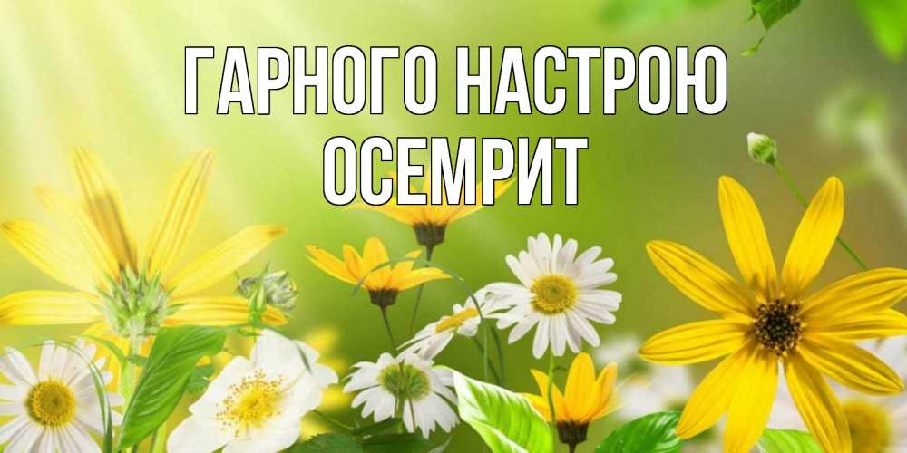 Открытка на каждый день з підписом, Осемрит Гарного настрою цветы Прикольна листівка з побажанням онлайн скачати безкоштовно 