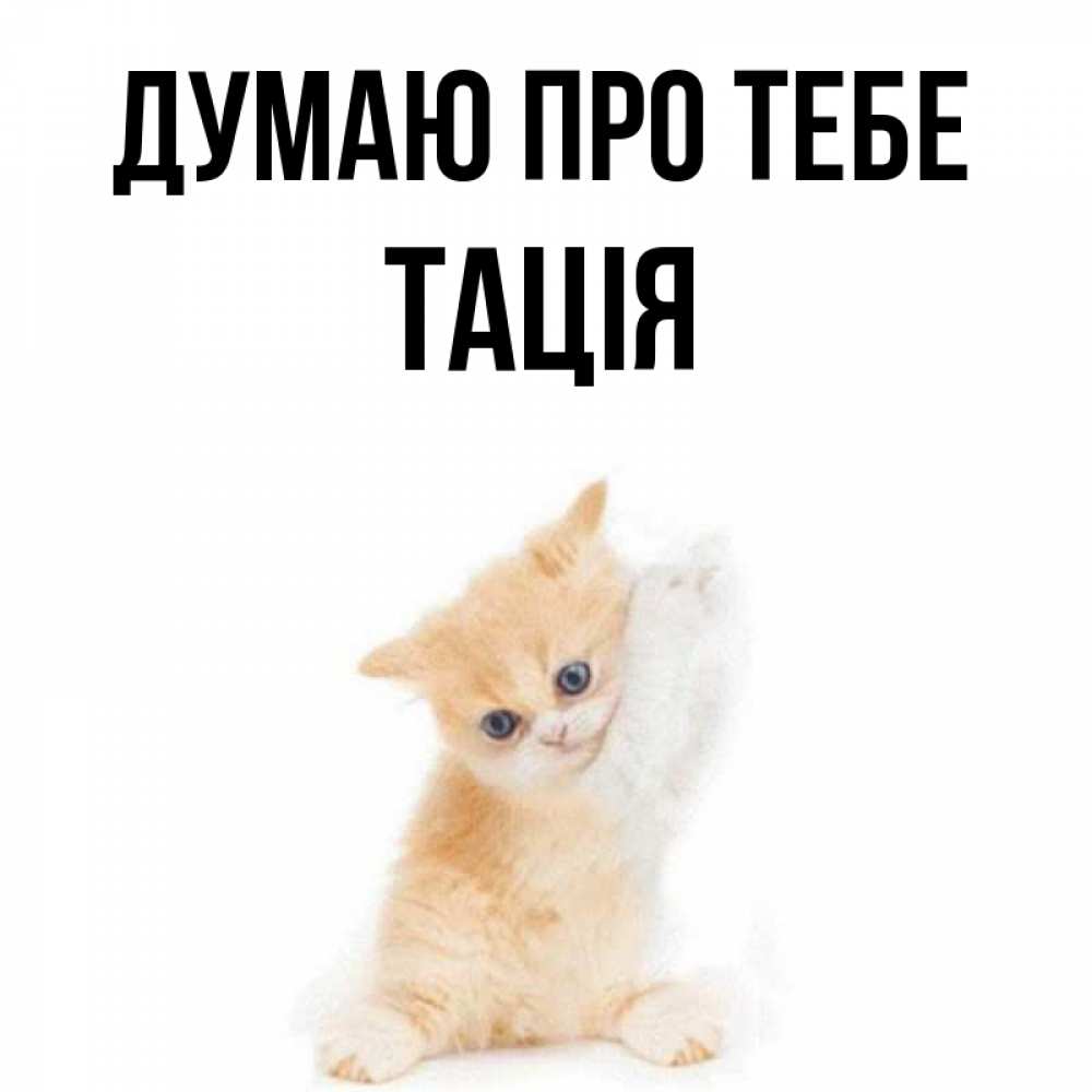 Открытка на каждый день з підписом, Тація Думаю про тебе зверушки и милота Прикольна листівка з побажанням онлайн скачати безкоштовно 