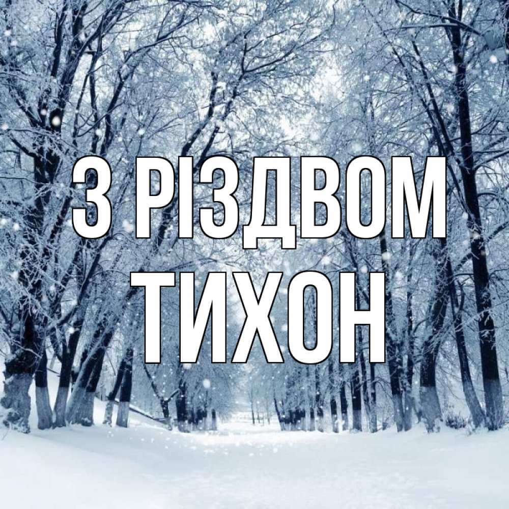 Открытка на каждый день з підписом, Тихон З Різдвом снег, лес, парк Прикольна листівка з побажанням онлайн скачати безкоштовно 