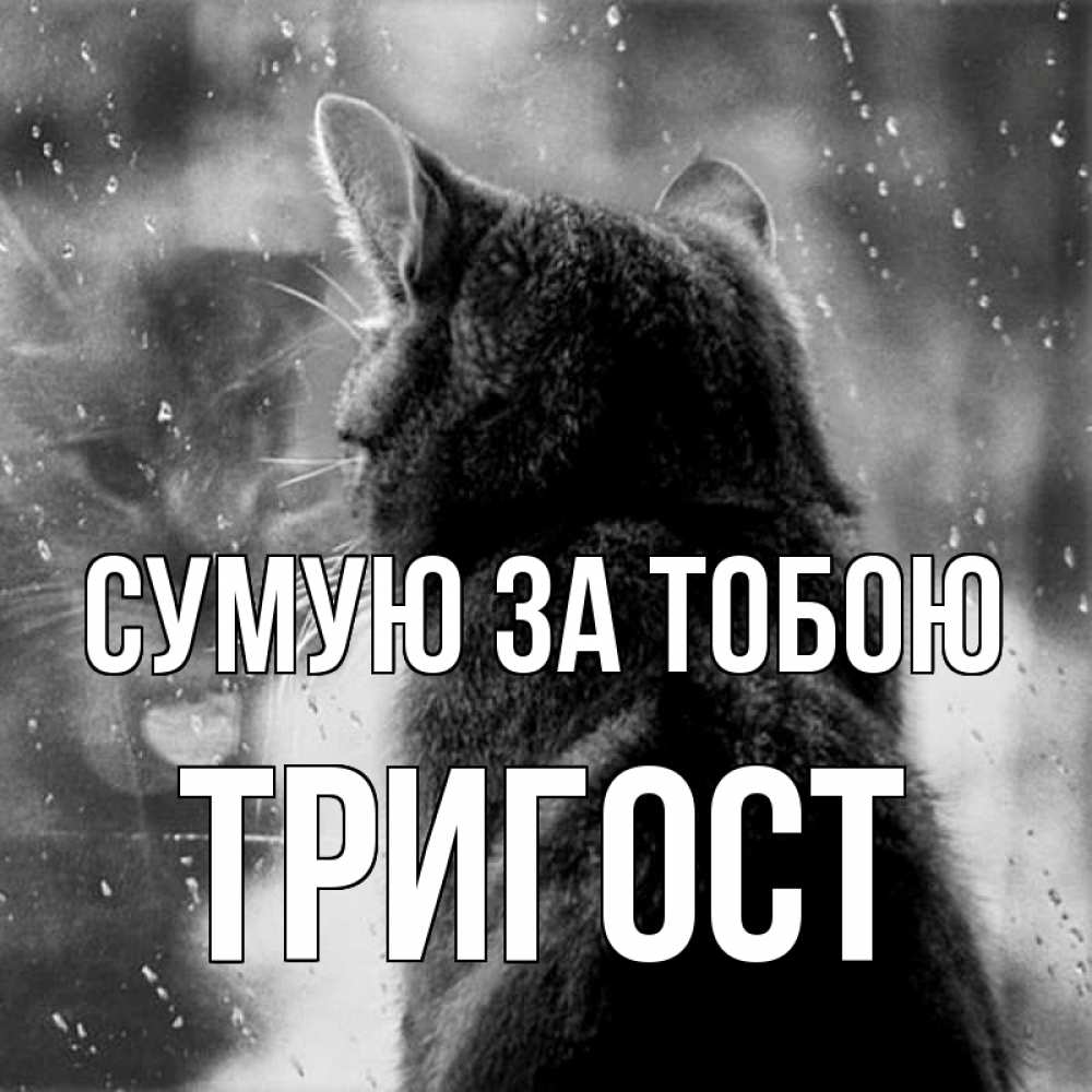 Открытка на каждый день з підписом, Тригост Сумую за тобою скорее ко мне приходи 1 Прикольна листівка з побажанням онлайн скачати безкоштовно 