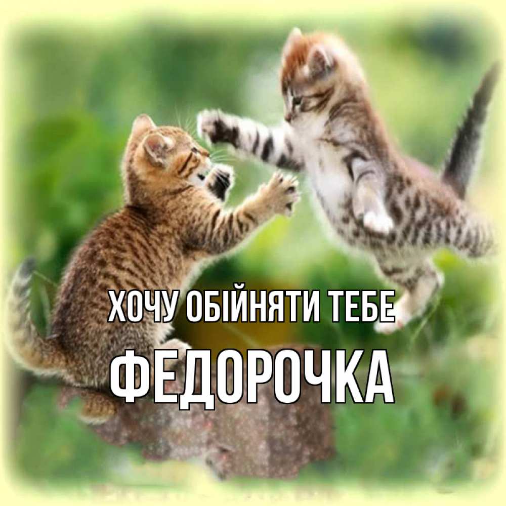 Открытка на каждый день з підписом, Федорочка Хочу обійняти тебе игры котят Прикольна листівка з побажанням онлайн скачати безкоштовно 