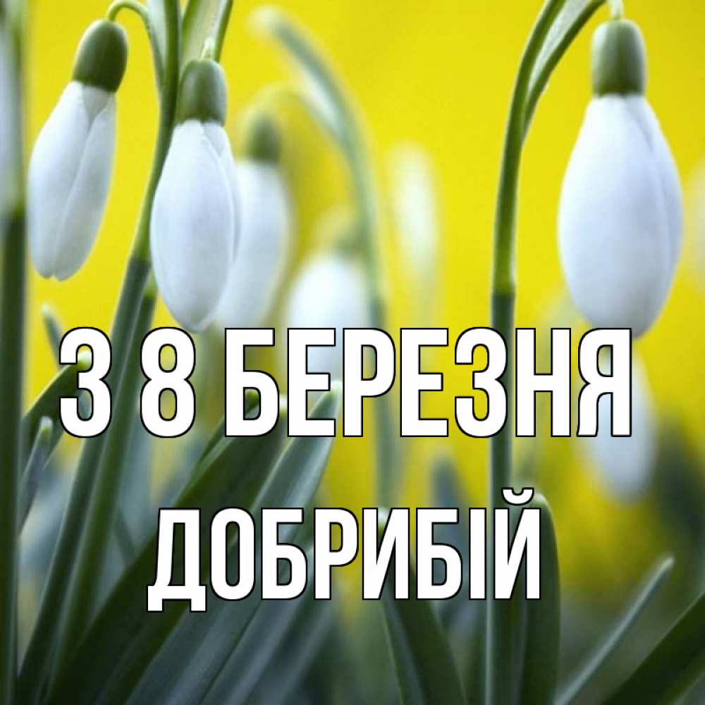 Открытка на каждый день з підписом, Добрибій З 8 БЕРЕЗНЯ весенние цветы Прикольна листівка з побажанням онлайн скачати безкоштовно 