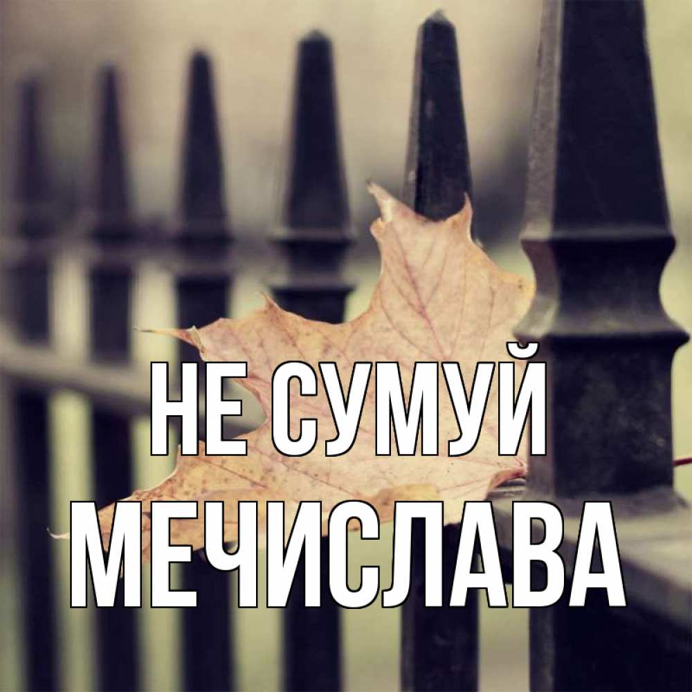 Открытка на каждый день з підписом, Мечислава Не сумуй лист клена Прикольна листівка з побажанням онлайн скачати безкоштовно 
