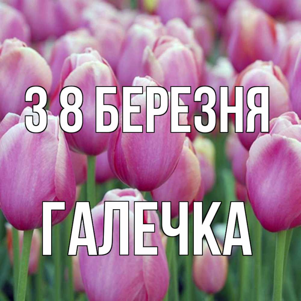 Открытка на каждый день з підписом, Галечка З 8 БЕРЕЗНЯ на международный женский день 3 Прикольна листівка з побажанням онлайн скачати безкоштовно 