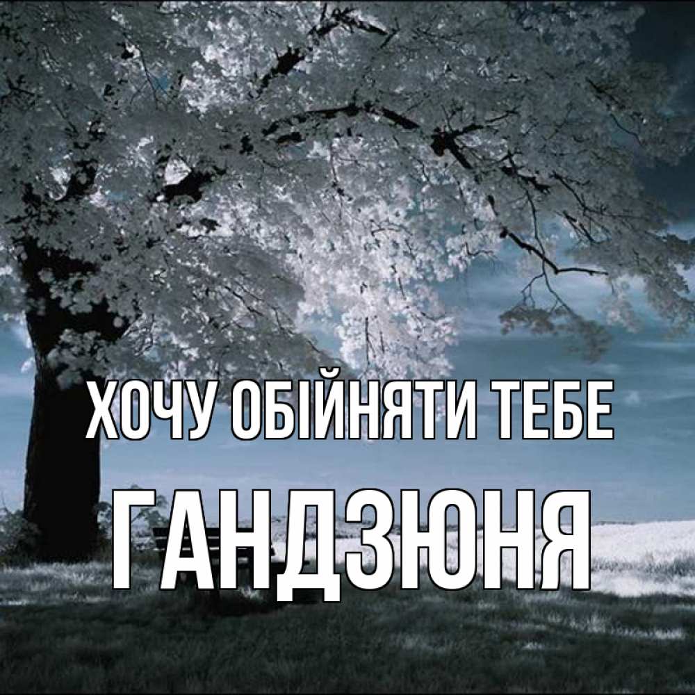 Открытка на каждый день з підписом, Гандзюня Хочу обійняти тебе дерево Прикольна листівка з побажанням онлайн скачати безкоштовно 