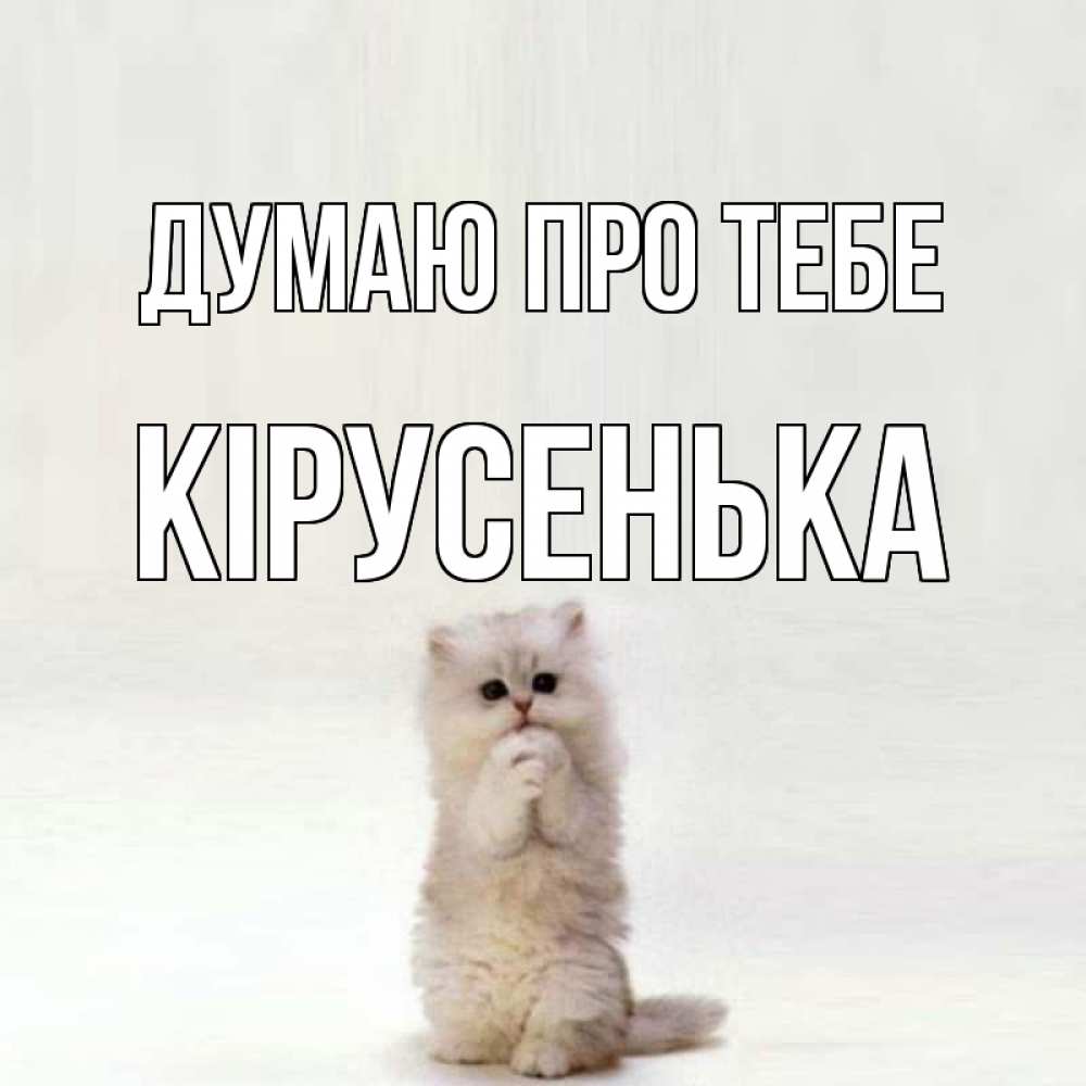 Открытка на каждый день з підписом, Кірусенька Думаю про тебе кот стоит на задних лапах Прикольна листівка з побажанням онлайн скачати безкоштовно 