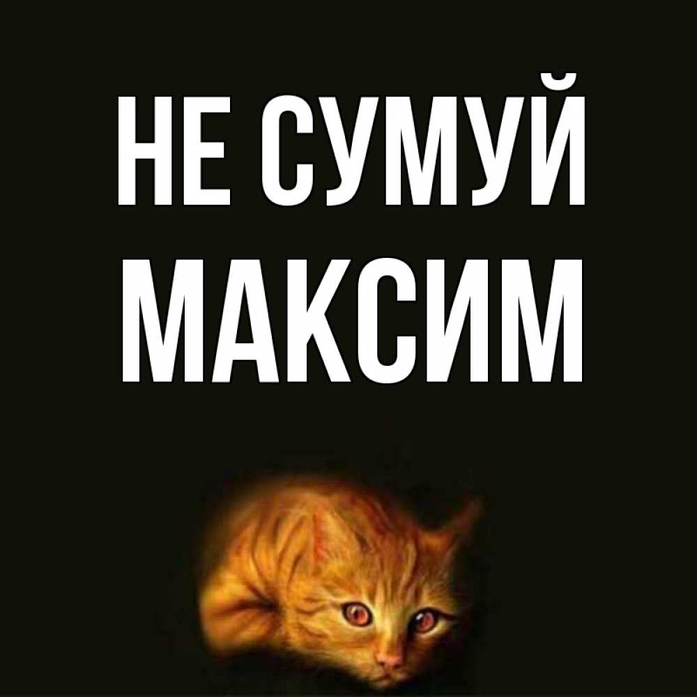 Открытка на каждый день з підписом, Максим Не сумуй лежащий кот в темноте Прикольна листівка з побажанням онлайн скачати безкоштовно 