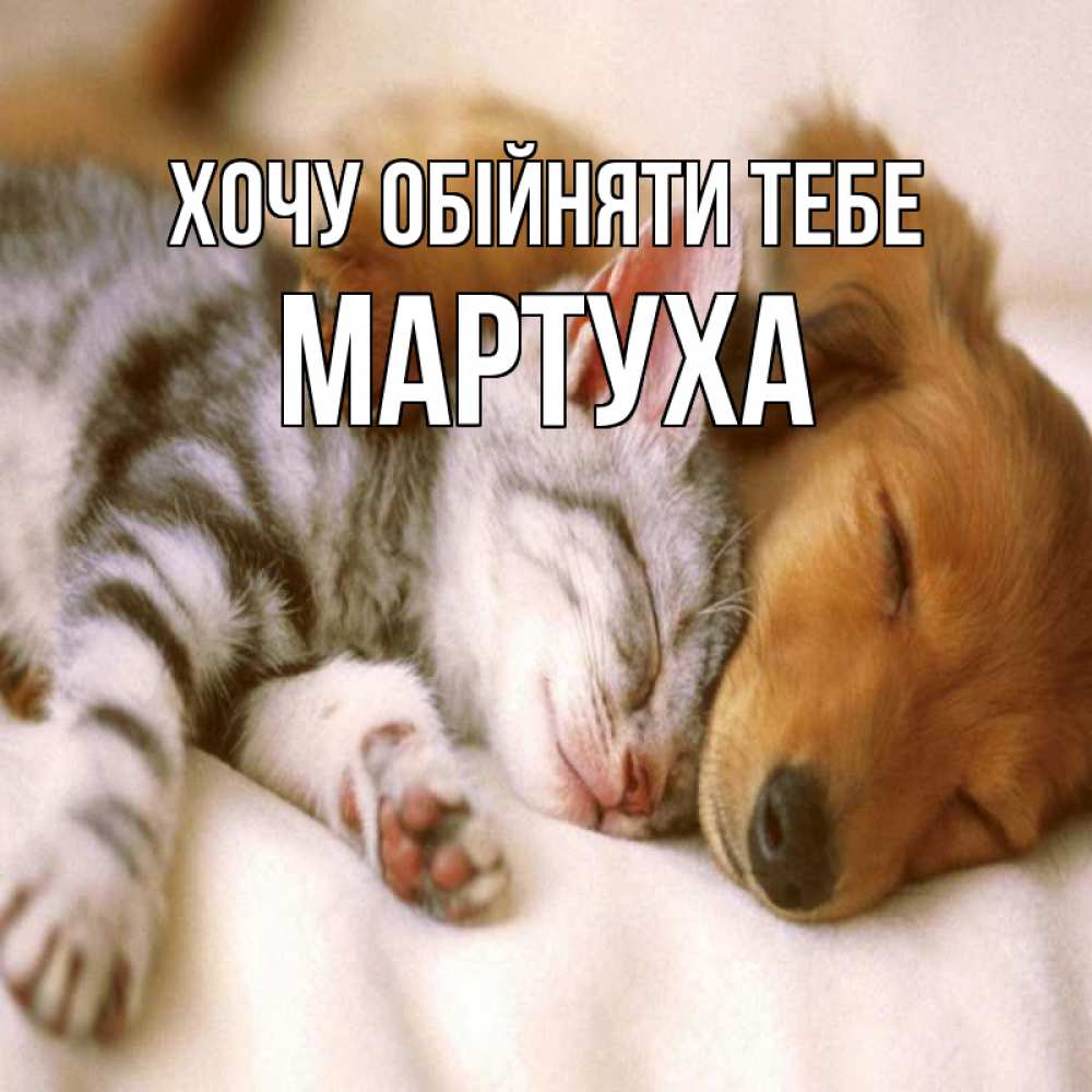Открытка на каждый день з підписом, Мартуха Хочу обійняти тебе пес и котенок Прикольна листівка з побажанням онлайн скачати безкоштовно 
