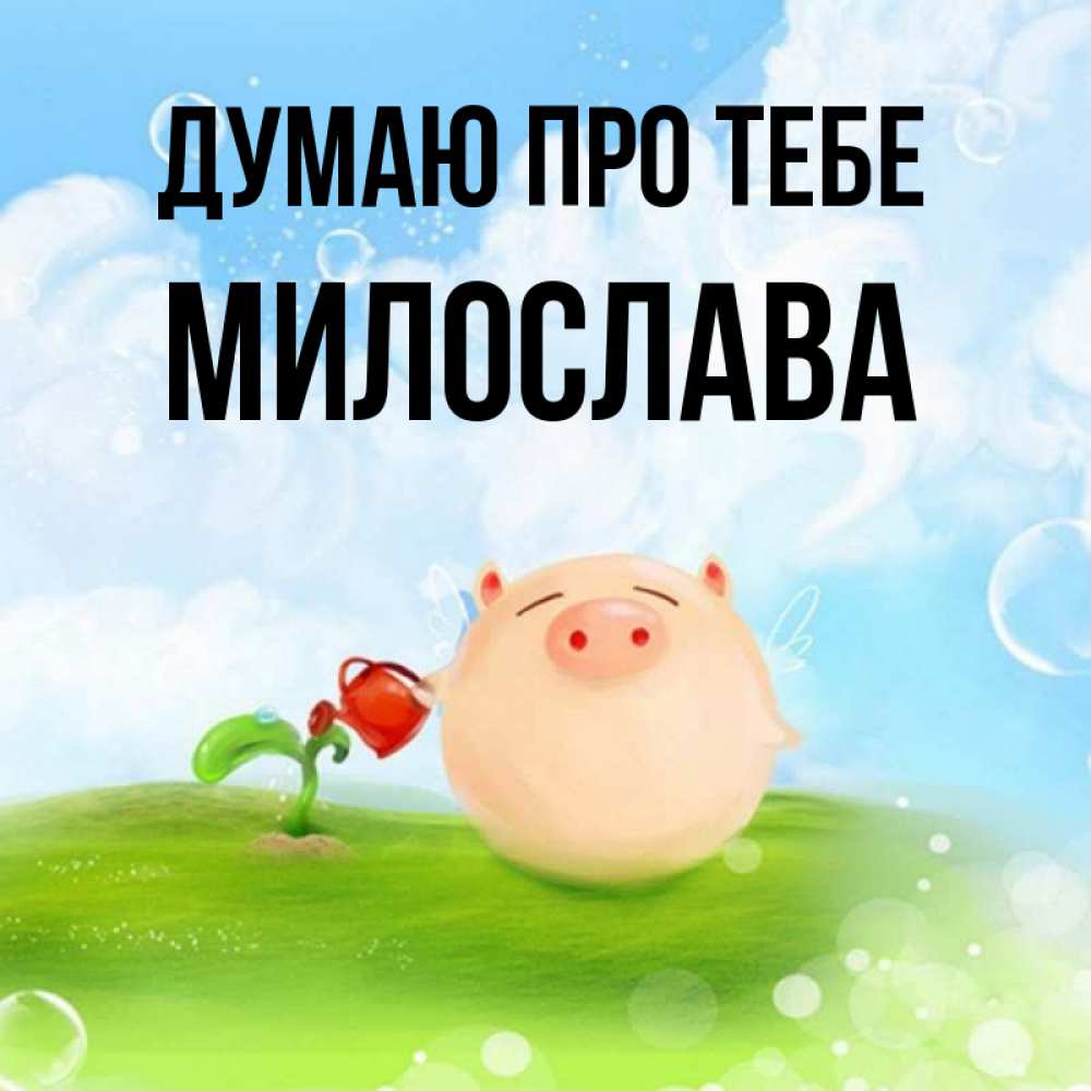 Открытка на каждый день з підписом, Милослава Думаю про тебе позитивная свинюшка Прикольна листівка з побажанням онлайн скачати безкоштовно 