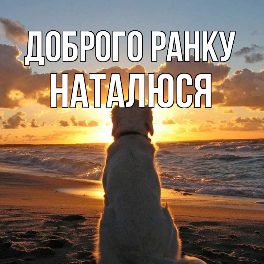 Открытка на каждый день з підписом, Наталюся Доброго ранку восход солнца Прикольна листівка з побажанням онлайн скачати безкоштовно 