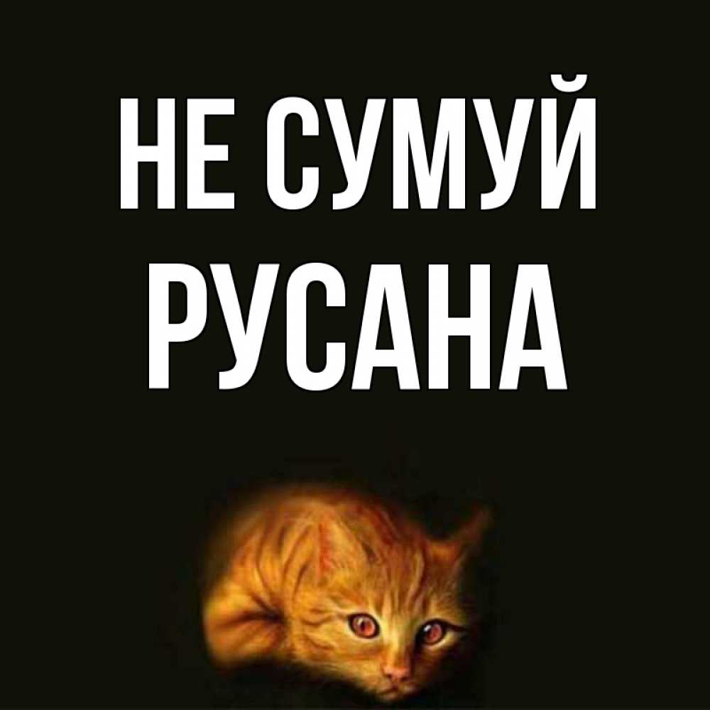 Открытка на каждый день з підписом, Русана Не сумуй лежащий кот в темноте Прикольна листівка з побажанням онлайн скачати безкоштовно 