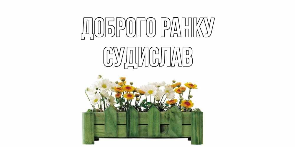 Открытка на каждый день з підписом, Судислав Доброго ранку цветы Прикольна листівка з побажанням онлайн скачати безкоштовно 