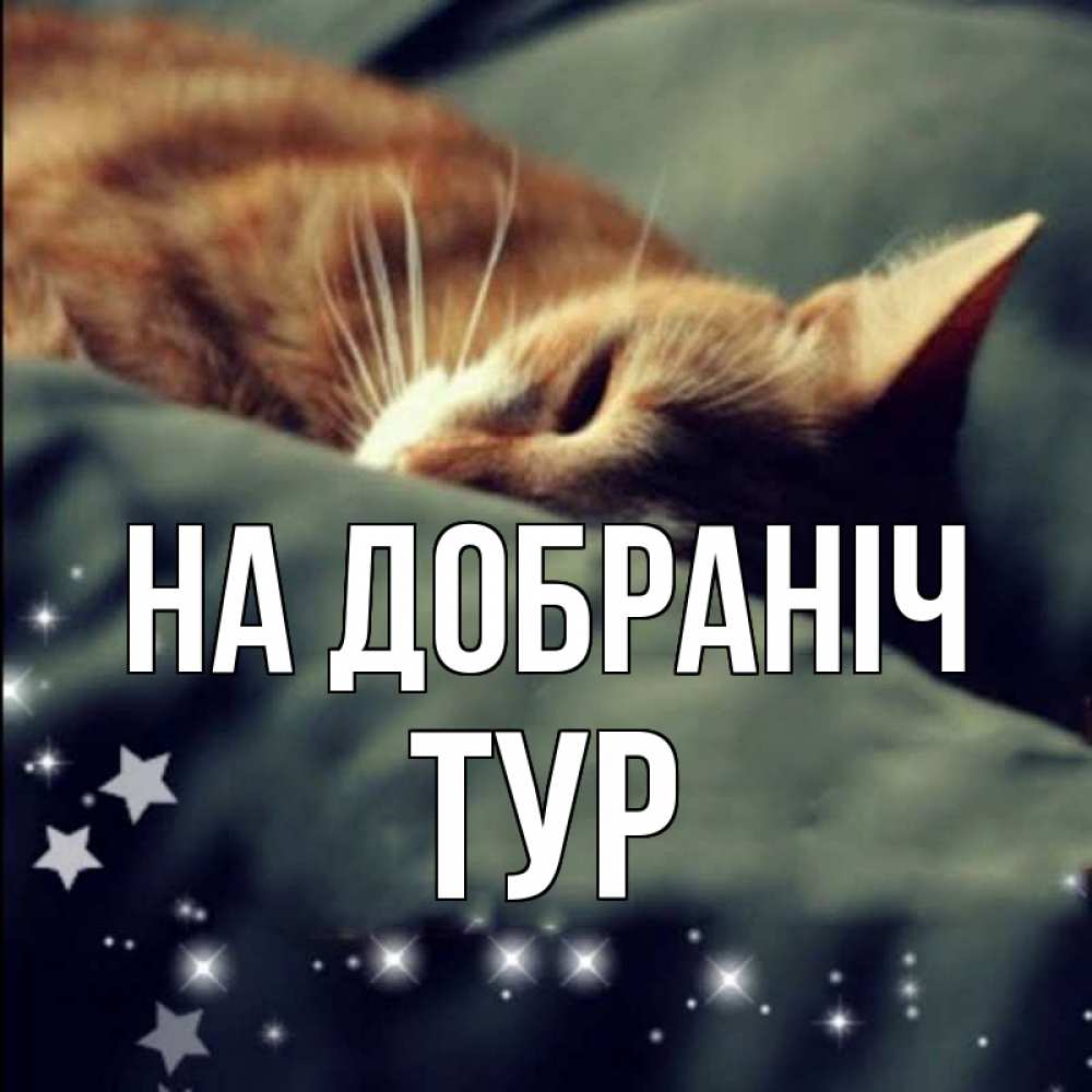 Открытка на каждый день з підписом, Тур На добраніч кроватка Прикольна листівка з побажанням онлайн скачати безкоштовно 