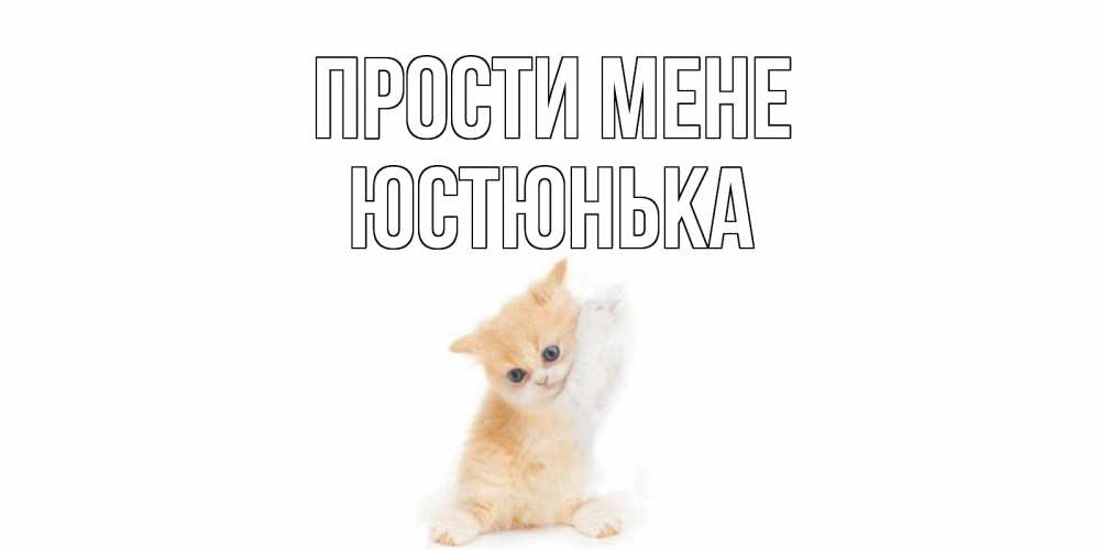 Открытка на каждый день з підписом, Юстюнька Прости мене кот Прикольна листівка з побажанням онлайн скачати безкоштовно 
