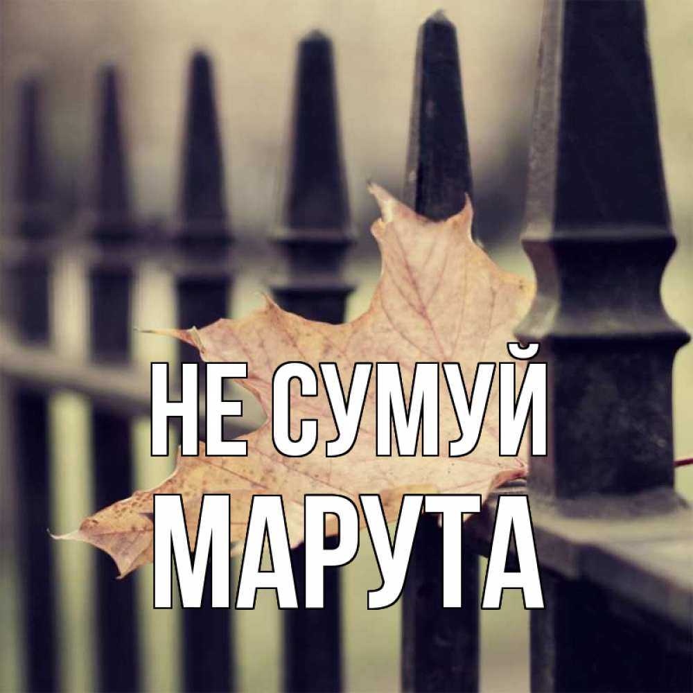 Открытка на каждый день з підписом, Марута Не сумуй лист клена Прикольна листівка з побажанням онлайн скачати безкоштовно 