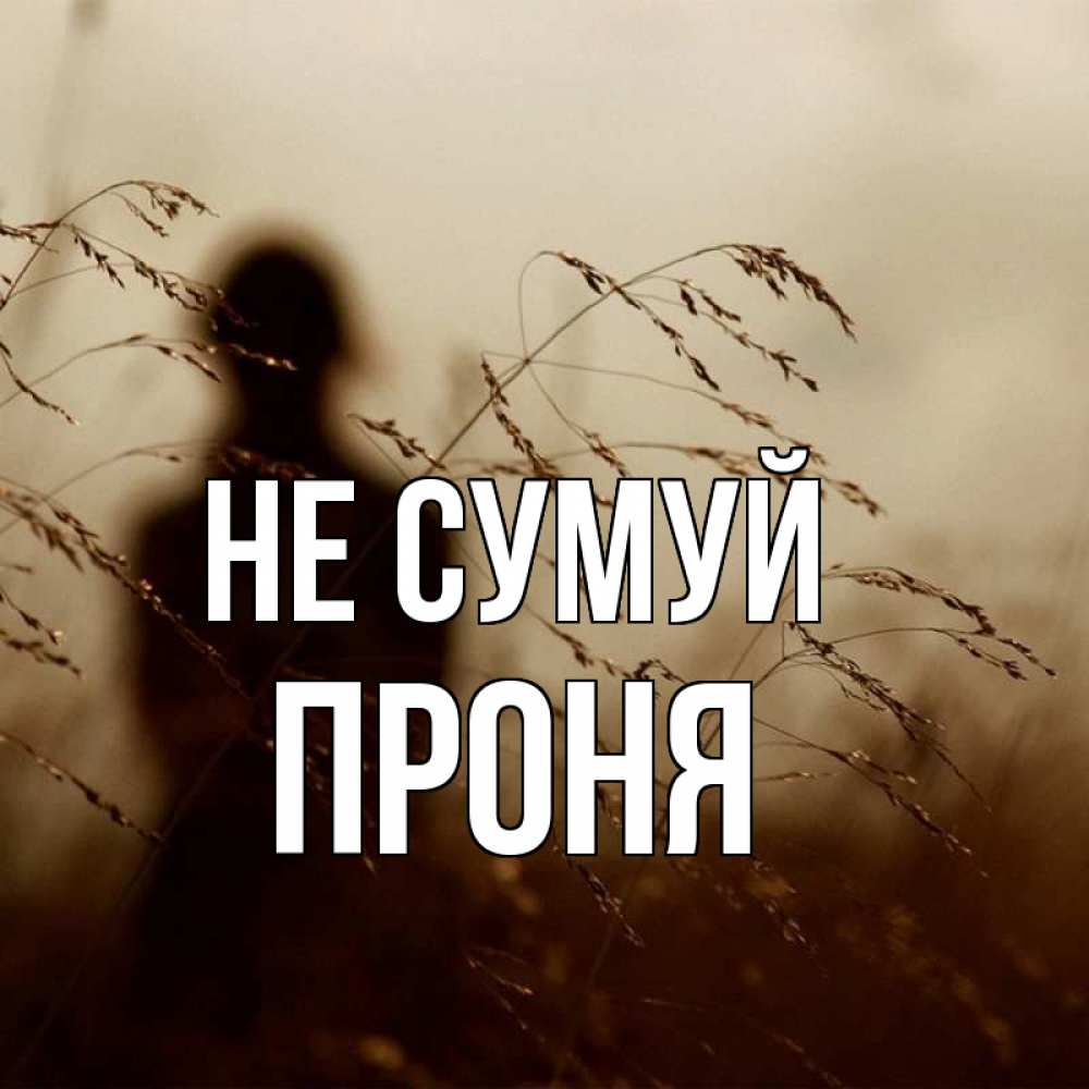 Открытка на каждый день з підписом, Проня Не сумуй грусть Прикольна листівка з побажанням онлайн скачати безкоштовно 
