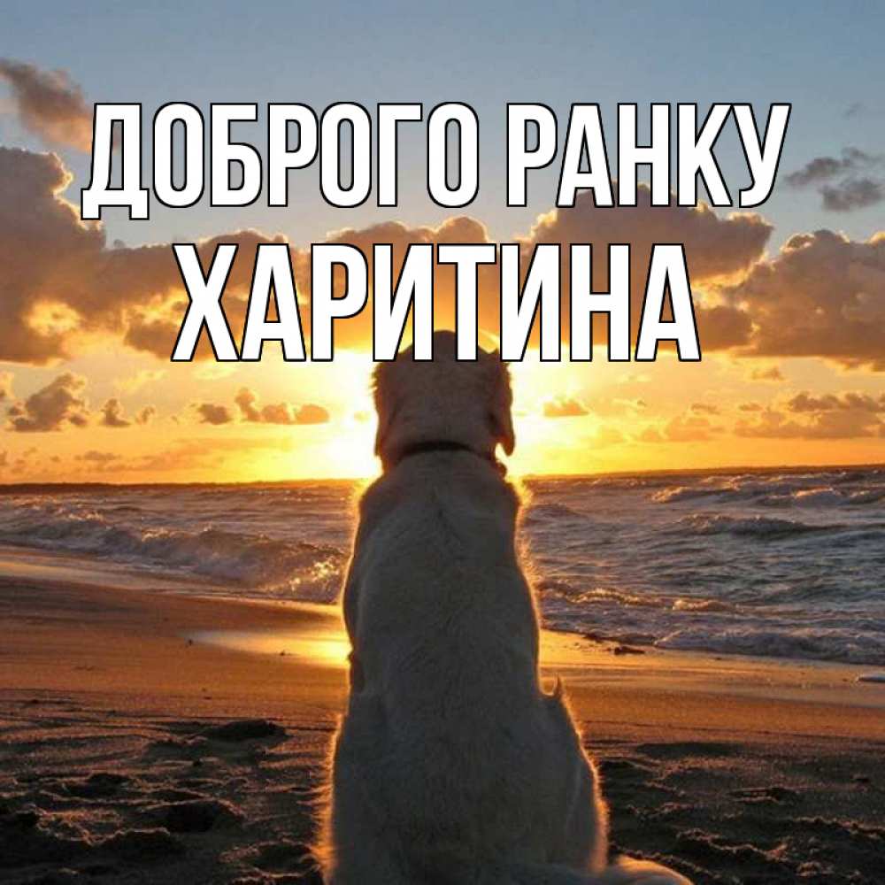 Открытка на каждый день з підписом, Харитина Доброго ранку восход солнца Прикольна листівка з побажанням онлайн скачати безкоштовно 