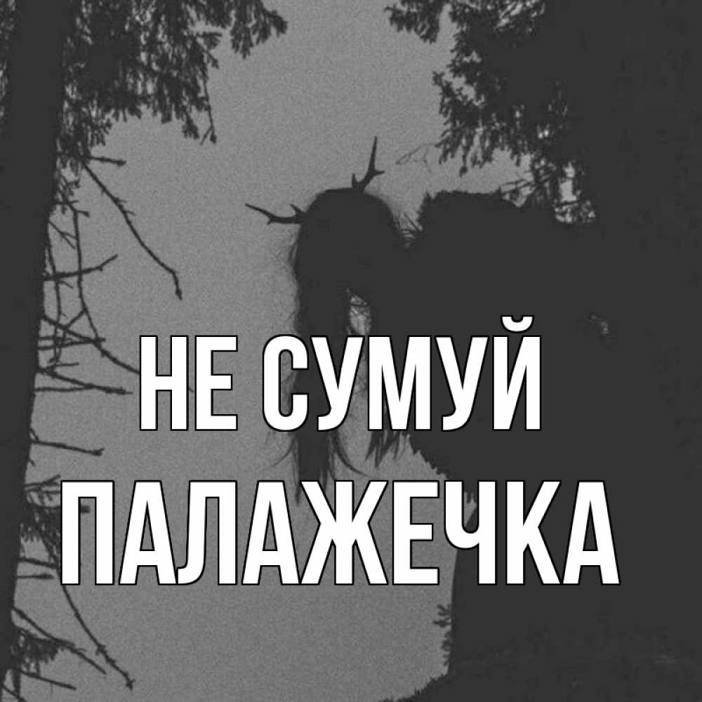 Открытка на каждый день з підписом, Палажечка Не сумуй чудище лесное Прикольна листівка з побажанням онлайн скачати безкоштовно 