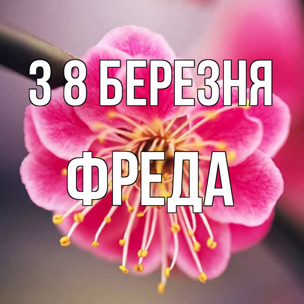 Открытка на каждый день з підписом, Фреда З 8 БЕРЕЗНЯ цветы Прикольна листівка з побажанням онлайн скачати безкоштовно 