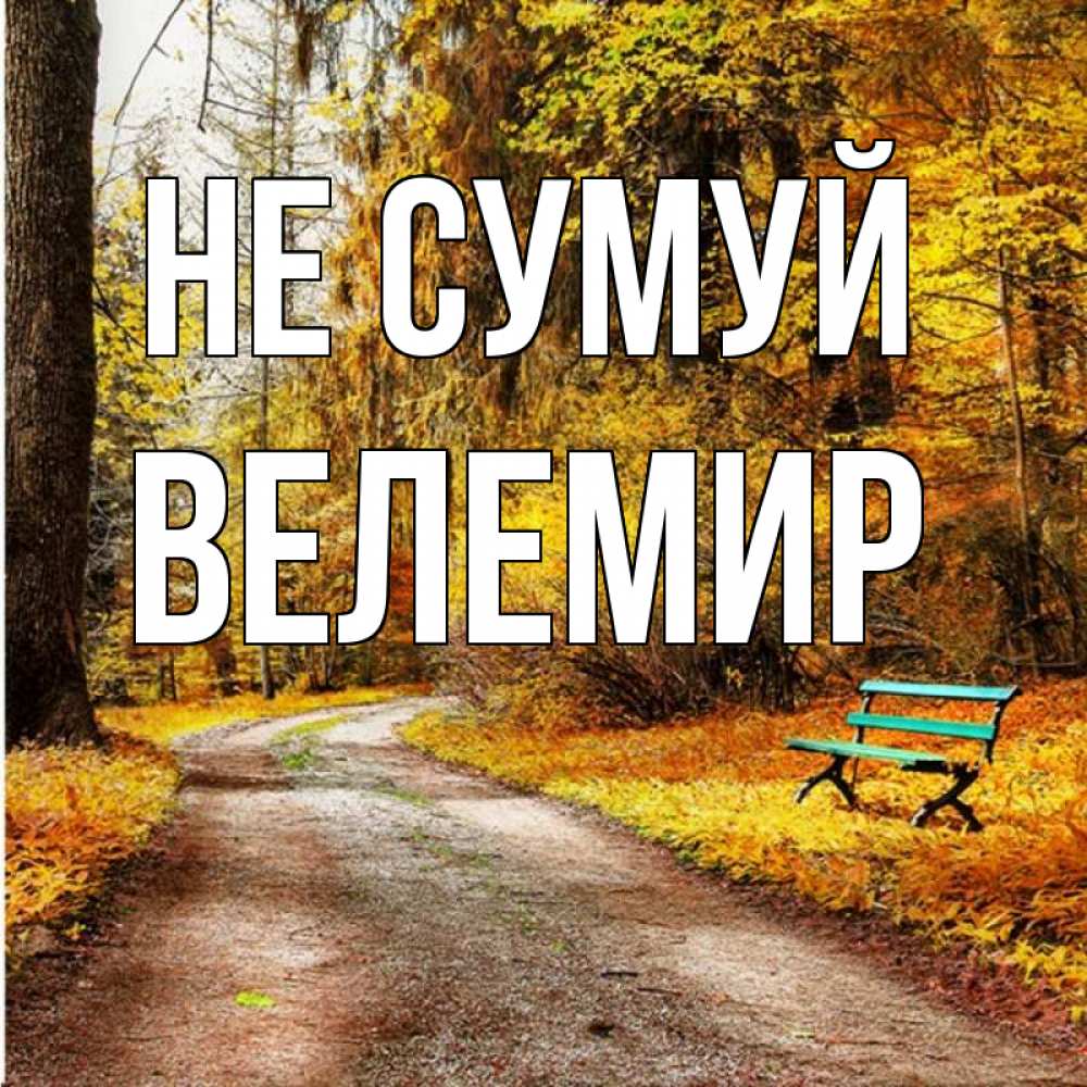 Открытка на каждый день з підписом, Велемир Не сумуй зеленая лавочка Прикольна листівка з побажанням онлайн скачати безкоштовно 