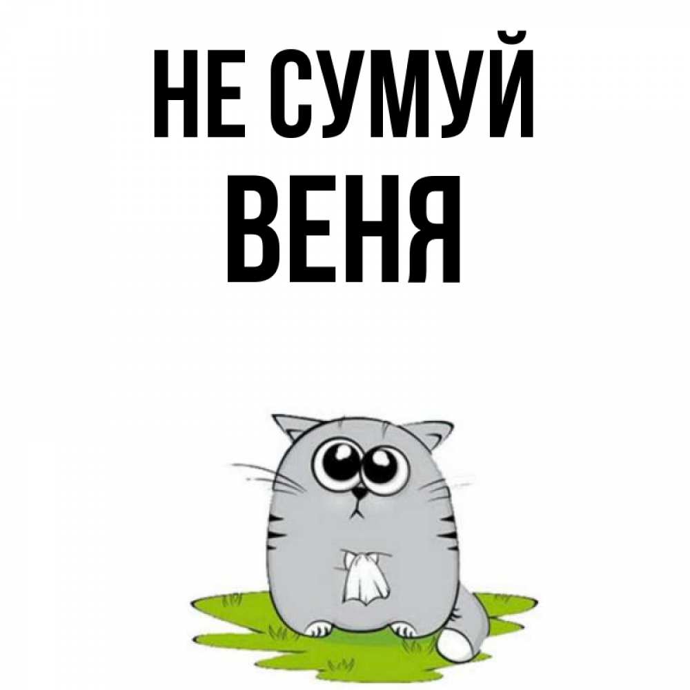 Открытка на каждый день з підписом, Веня Не сумуй грустный котяра Прикольна листівка з побажанням онлайн скачати безкоштовно 