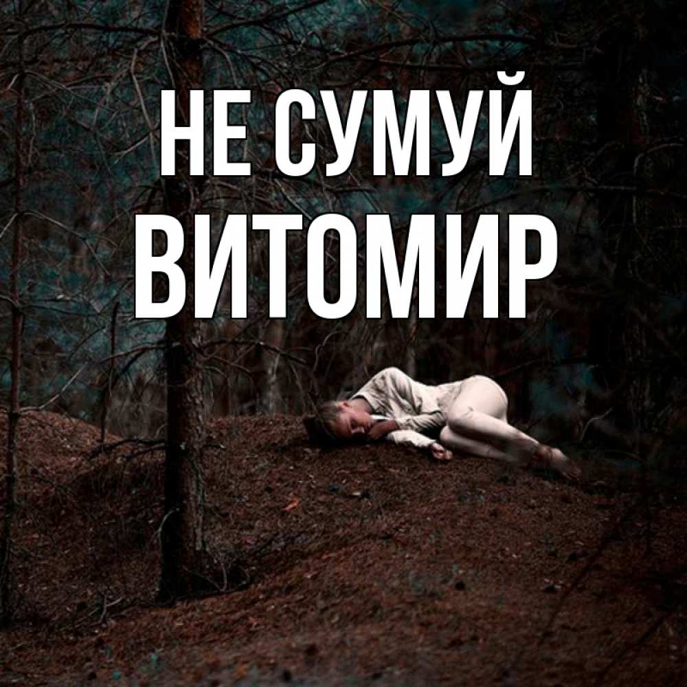 Открытка на каждый день з підписом, Витомир Не сумуй лес Прикольна листівка з побажанням онлайн скачати безкоштовно 