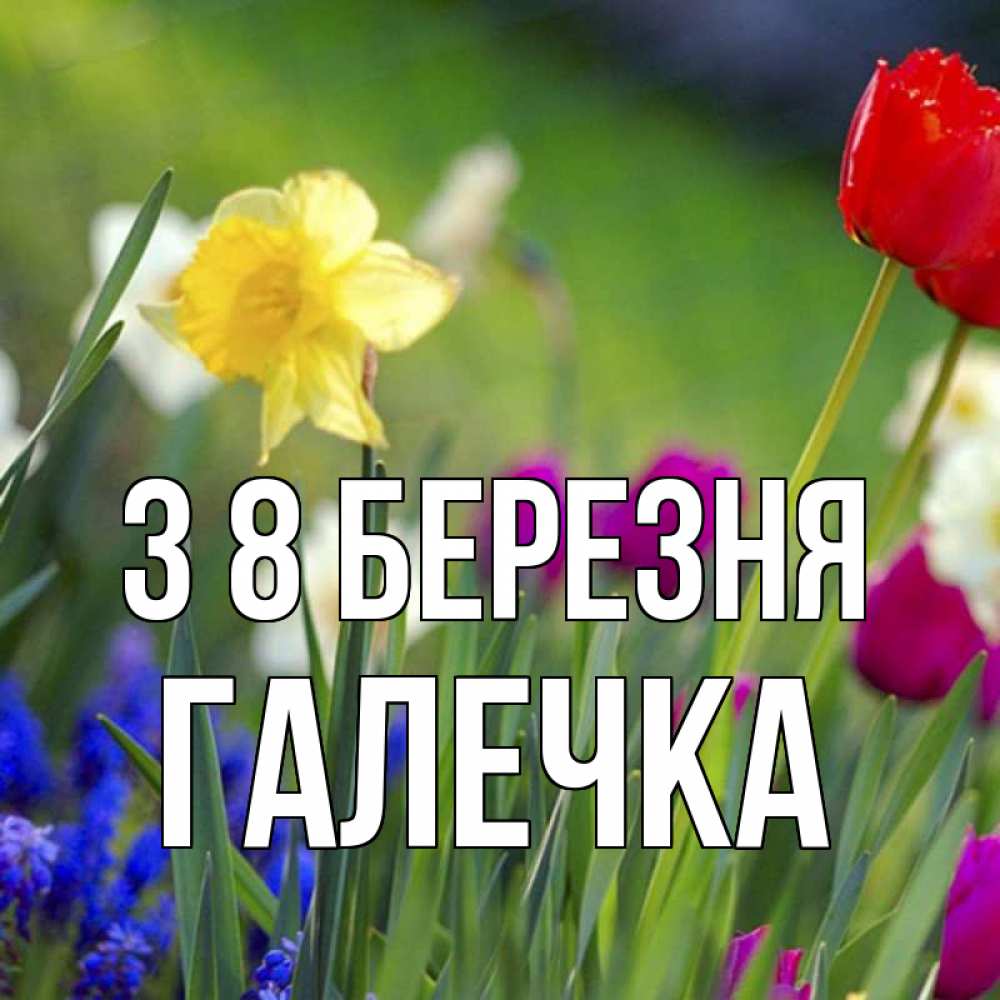 Открытка на каждый день з підписом, Галечка З 8 БЕРЕЗНЯ международный женский день 3 Прикольна листівка з побажанням онлайн скачати безкоштовно 
