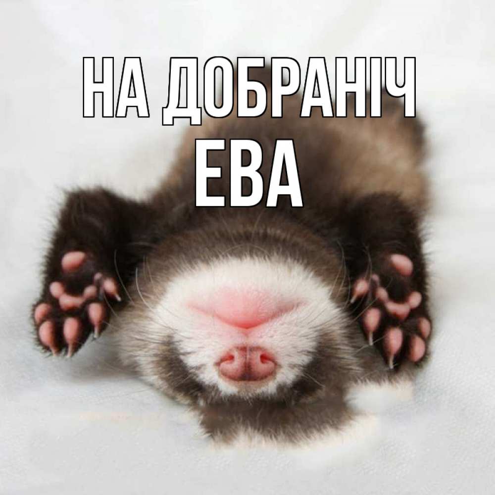 Открытка на каждый день з підписом, Ева На добраніч зверек Прикольна листівка з побажанням онлайн скачати безкоштовно 