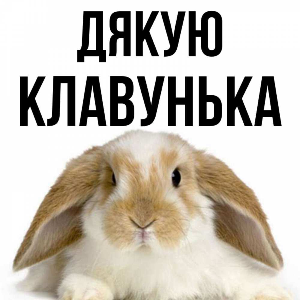 Открытка на каждый день з підписом, Клавунька Дякую коричнево белый заяц Прикольна листівка з побажанням онлайн скачати безкоштовно 