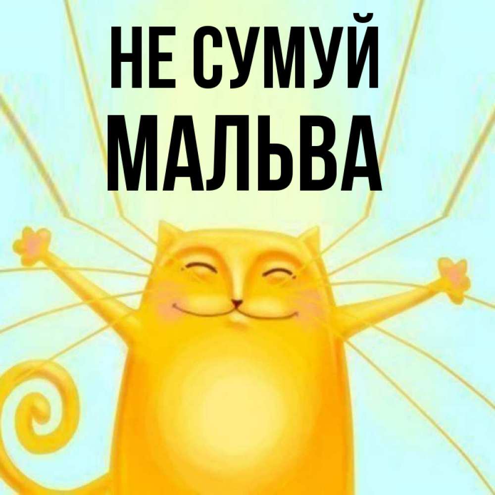 Открытка на каждый день з підписом, Мальва Не сумуй обнимашки усатые Прикольна листівка з побажанням онлайн скачати безкоштовно 