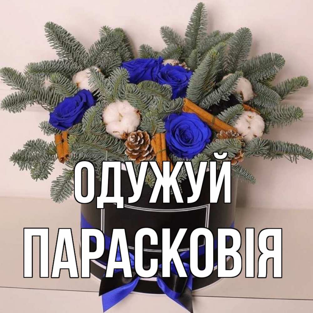 Открытка на каждый день з підписом, Парасковія Одужуй короче кто то загрузил эти шишки Прикольна листівка з побажанням онлайн скачати безкоштовно 