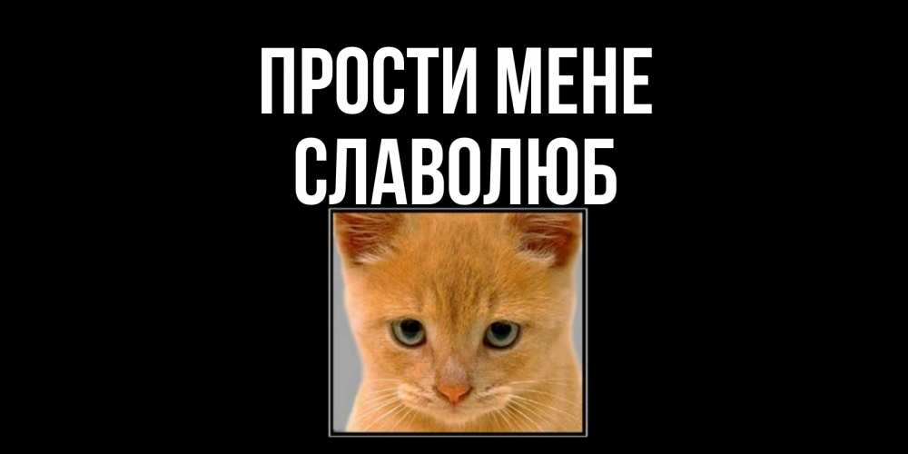 Открытка на каждый день з підписом, Славолюб Прости мене рыжий грустный кот просит прощения Прикольна листівка з побажанням онлайн скачати безкоштовно 
