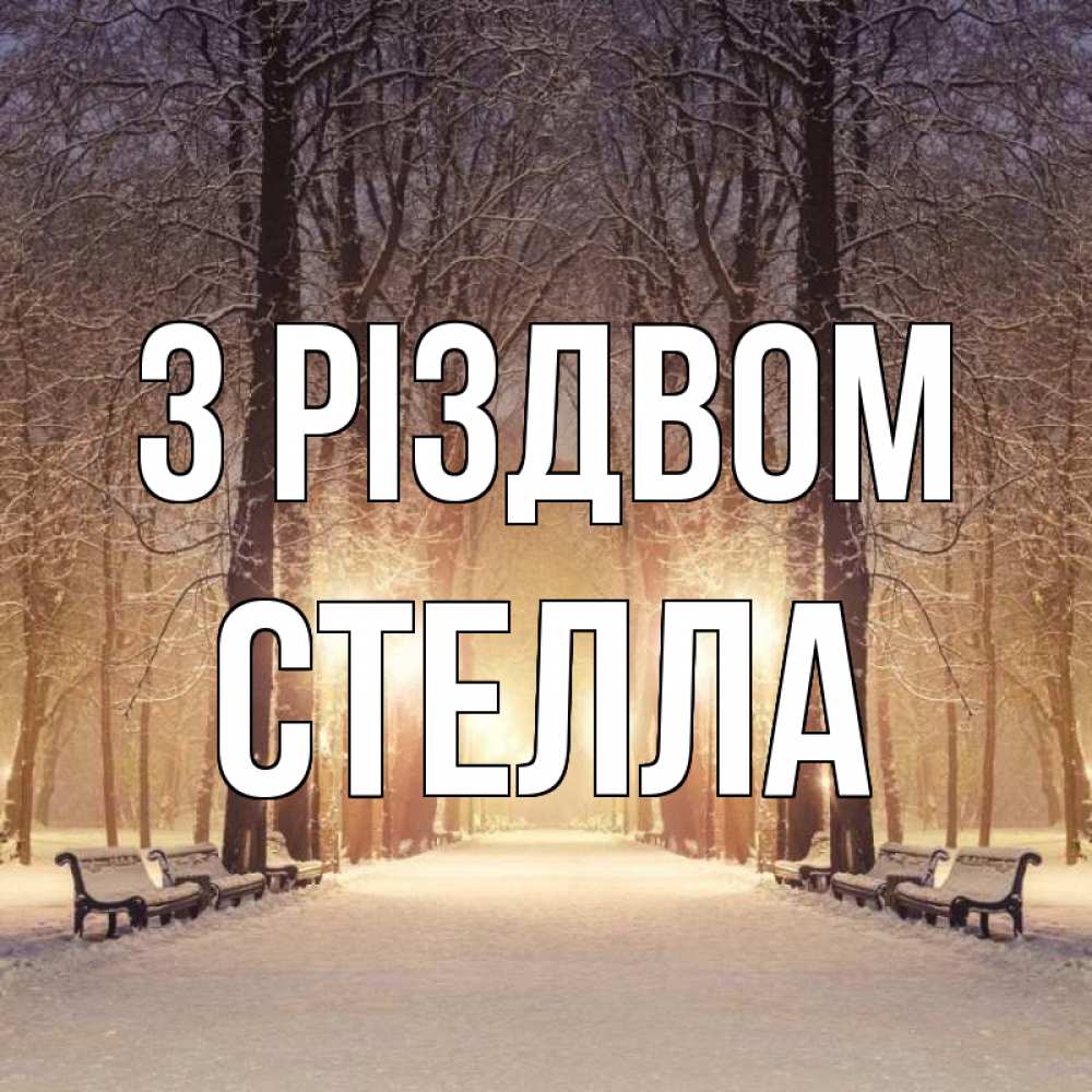 Открытка на каждый день з підписом, Стелла З Різдвом зима, парк, фонарь, лес Прикольна листівка з побажанням онлайн скачати безкоштовно 
