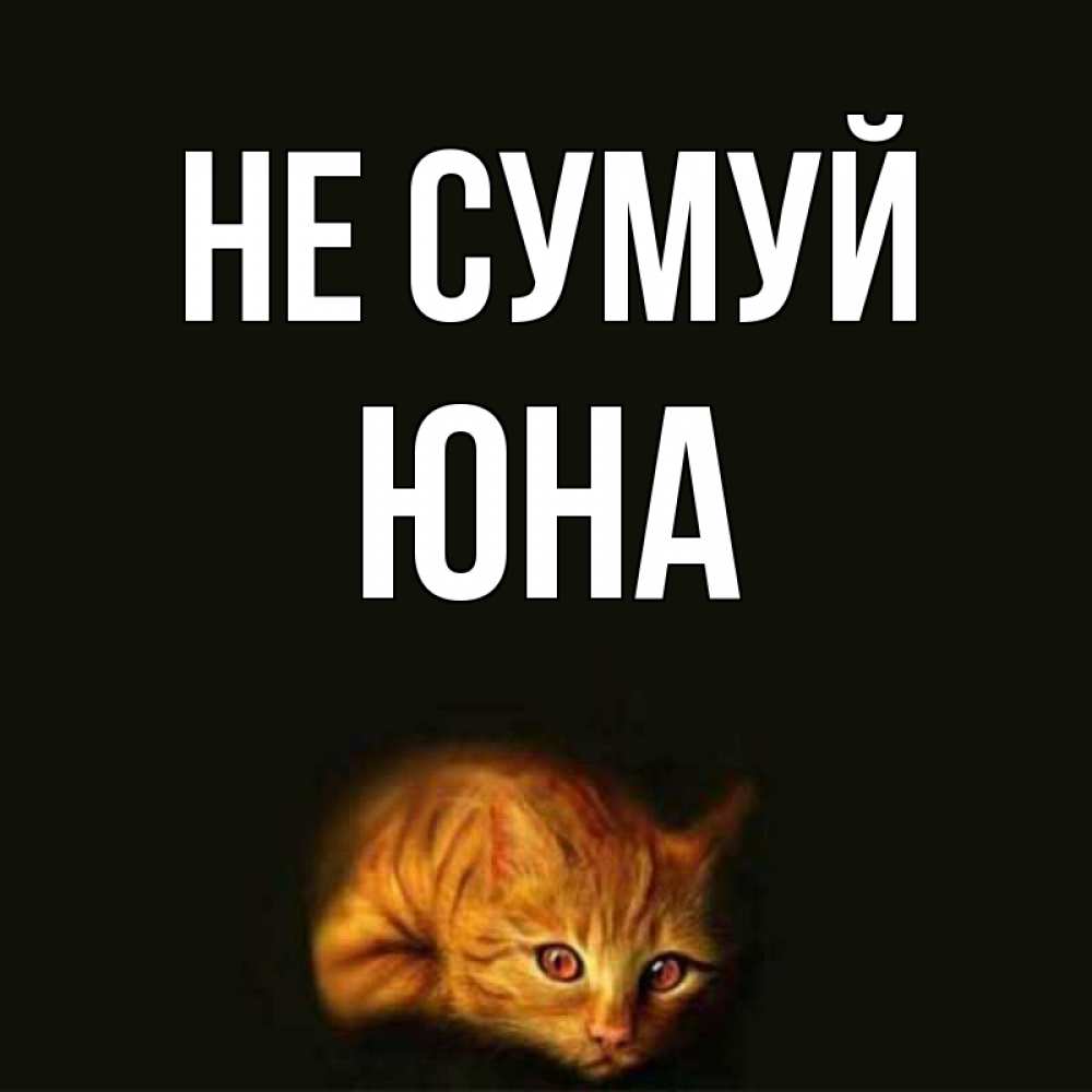 Открытка на каждый день з підписом, Юна Не сумуй лежащий кот в темноте Прикольна листівка з побажанням онлайн скачати безкоштовно 
