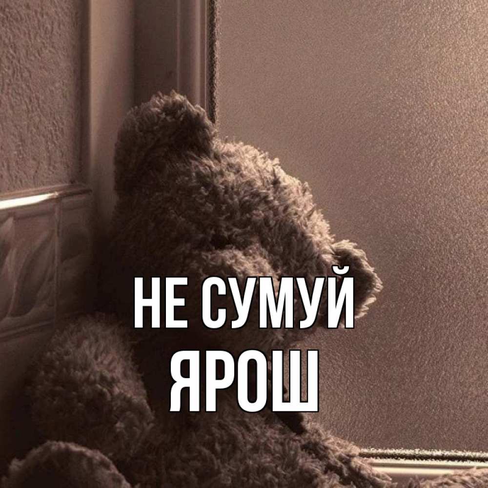 Открытка на каждый день з підписом, Ярош Не сумуй стекол рефленое Прикольна листівка з побажанням онлайн скачати безкоштовно 