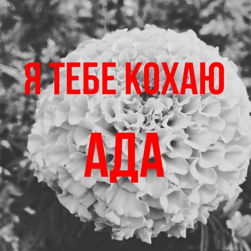 Открытка на каждый день з підписом, Ада Я тебе кохаю подпись Прикольна листівка з побажанням онлайн скачати безкоштовно 