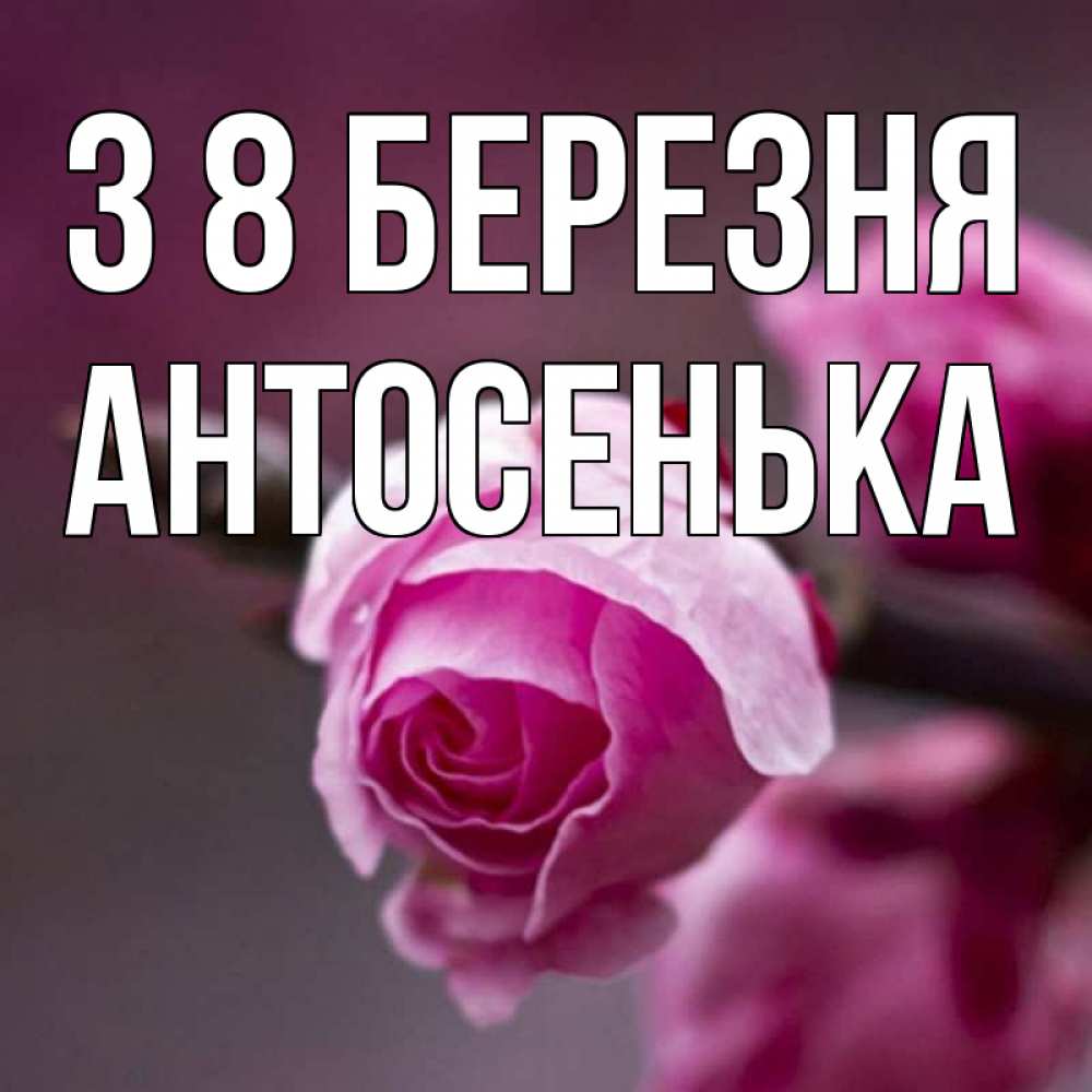 Открытка на каждый день з підписом, Антосенька З 8 БЕРЕЗНЯ весна Прикольна листівка з побажанням онлайн скачати безкоштовно 