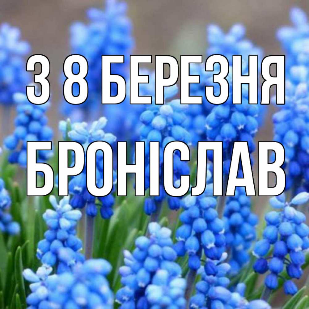 Открытка на каждый день з підписом, Броніслав З 8 БЕРЕЗНЯ Поздравительная открытка для женщин с цветами на праздничную дату Прикольна листівка з побажанням онлайн скачати безкоштовно 