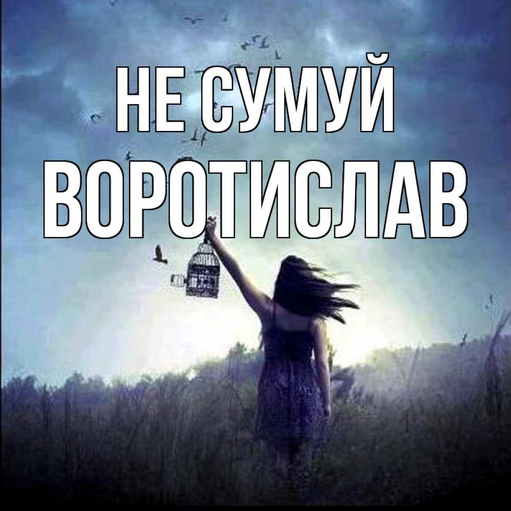 Открытка на каждый день з підписом, Воротислав Не сумуй на волю Прикольна листівка з побажанням онлайн скачати безкоштовно 