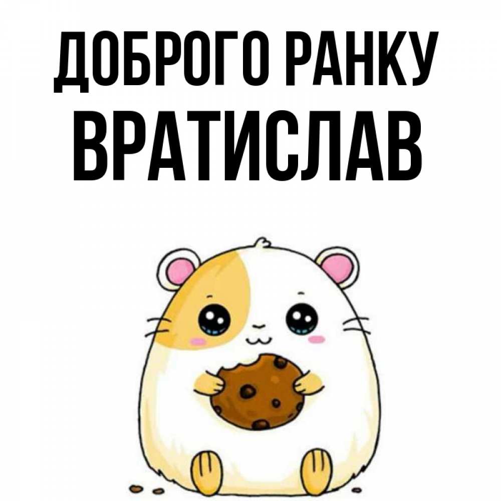 Открытка на каждый день з підписом, Вратислав Доброго ранку есть печеньку. Утречко Прикольна листівка з побажанням онлайн скачати безкоштовно 
