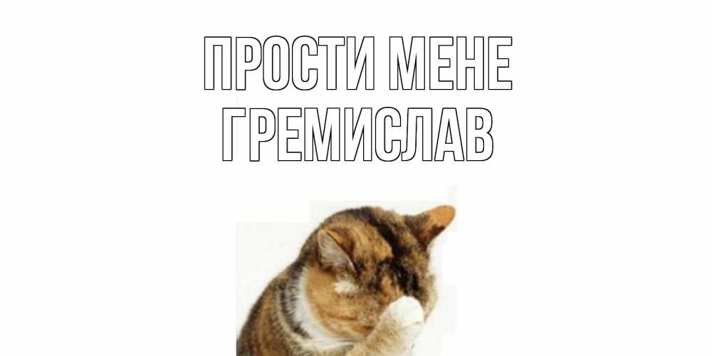 Открытка на каждый день з підписом, Гремислав Прости мене кот Прикольна листівка з побажанням онлайн скачати безкоштовно 