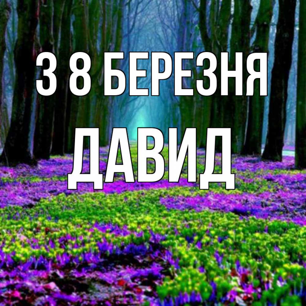 Открытка на каждый день з підписом, Давид З 8 БЕРЕЗНЯ фиолетовые цветы в лесу 1 Прикольна листівка з побажанням онлайн скачати безкоштовно 