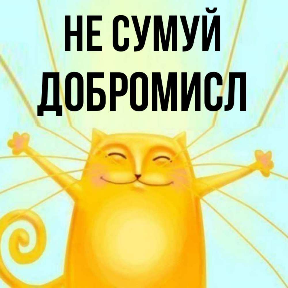 Открытка на каждый день з підписом, Добромисл Не сумуй обнимашки усатые Прикольна листівка з побажанням онлайн скачати безкоштовно 